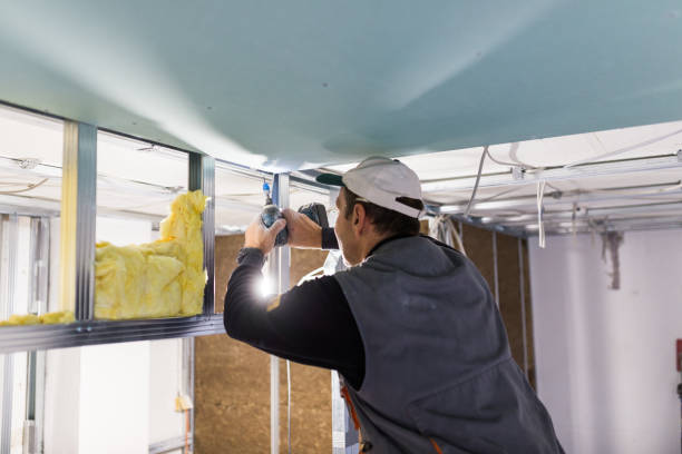 Best Insulation Maintenance and Repair in New Fairview, TX